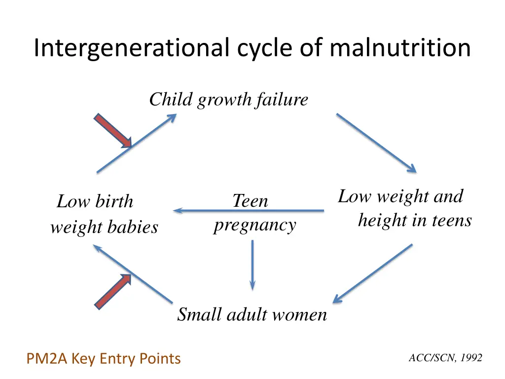 intergenerational cycle of malnutrition