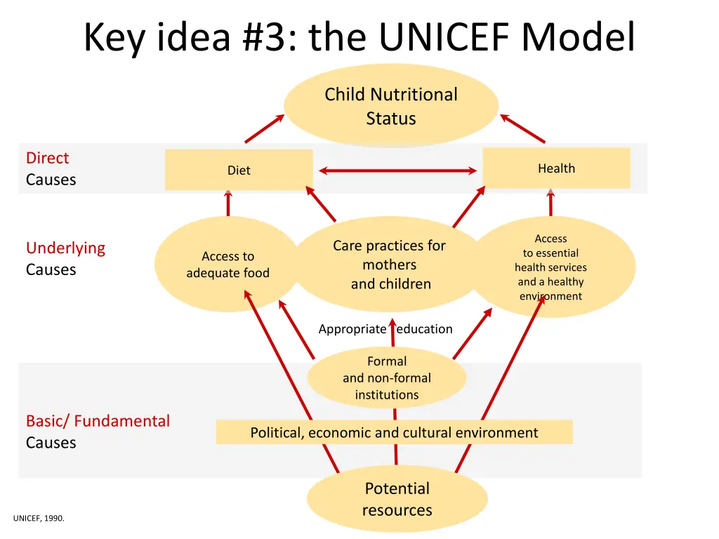 key idea 3 the unicef model