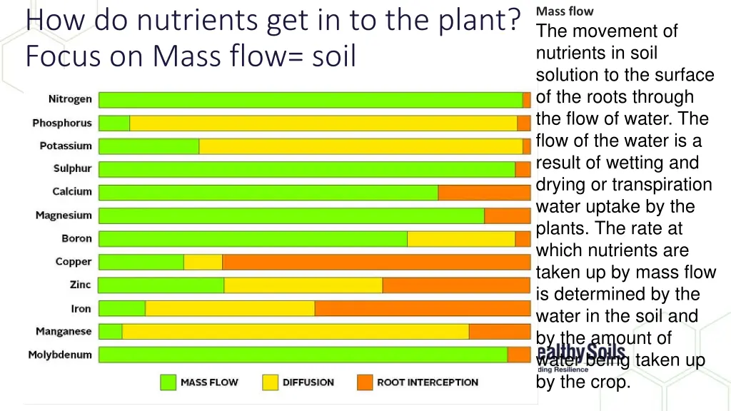 how do nutrients get in to the plant focus