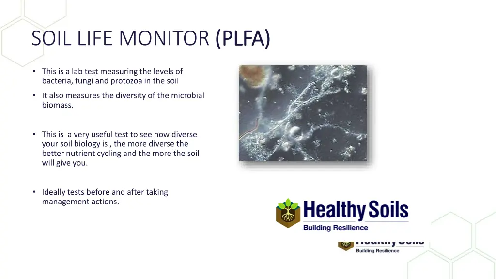 soil life monitor plfa