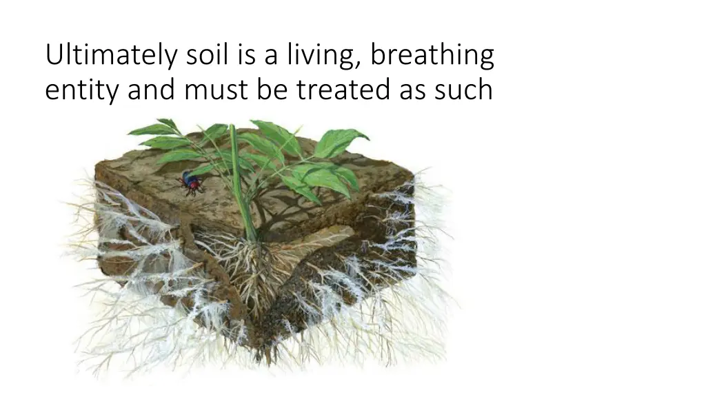 ultimately soil is a living breathing entity