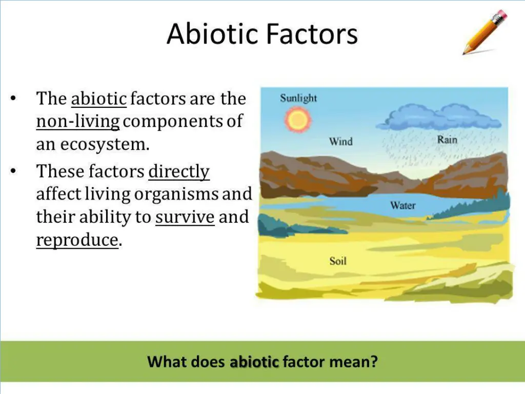 abiotic components