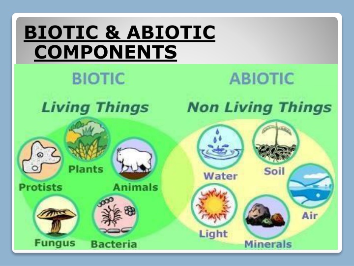 biotic abiotic components