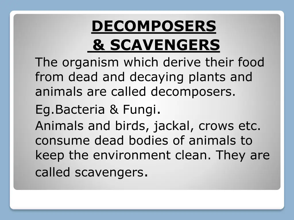 decomposers scavengers the organism which derive