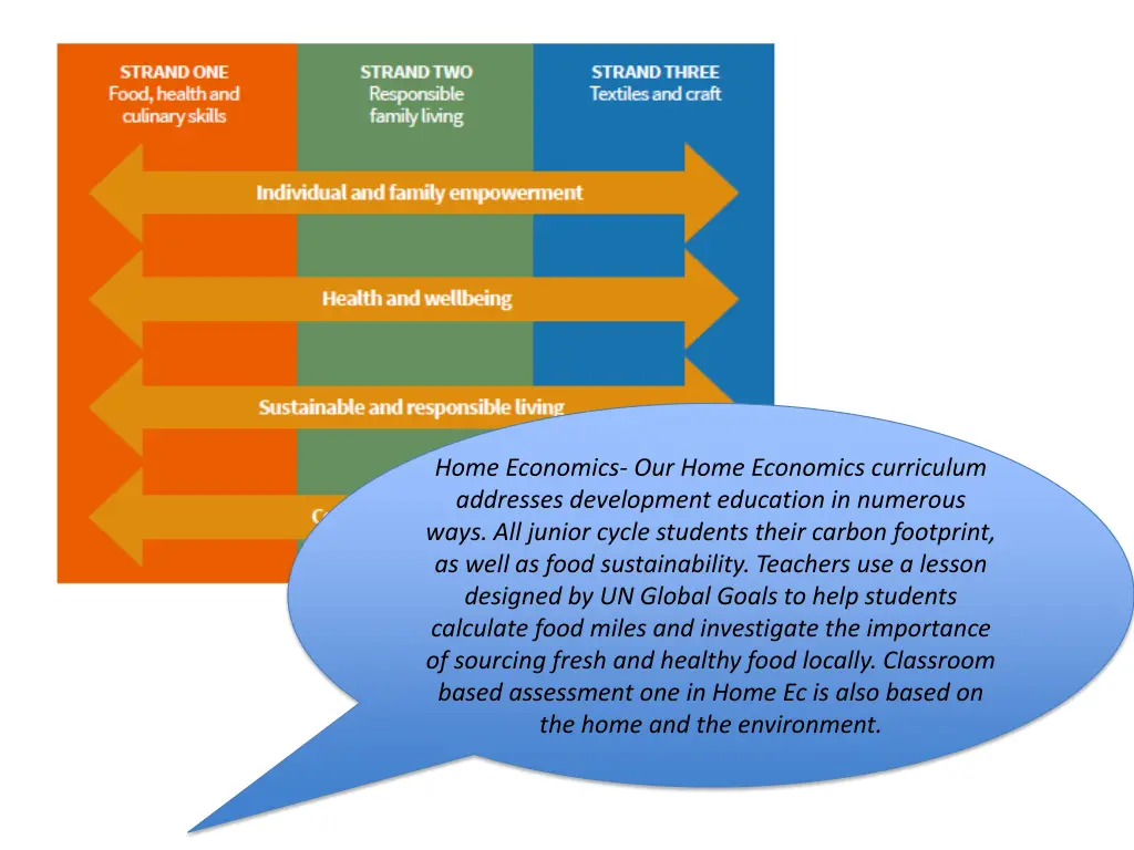 home economics our home economics curriculum