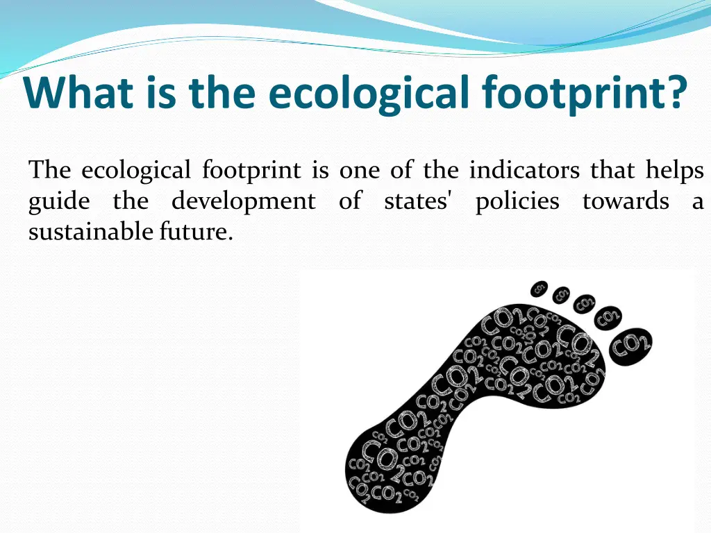 what is the ecological footprint