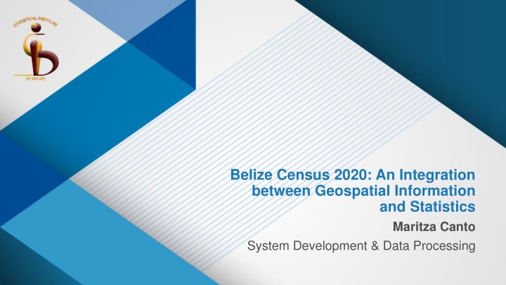 belize census 2020 an integration between