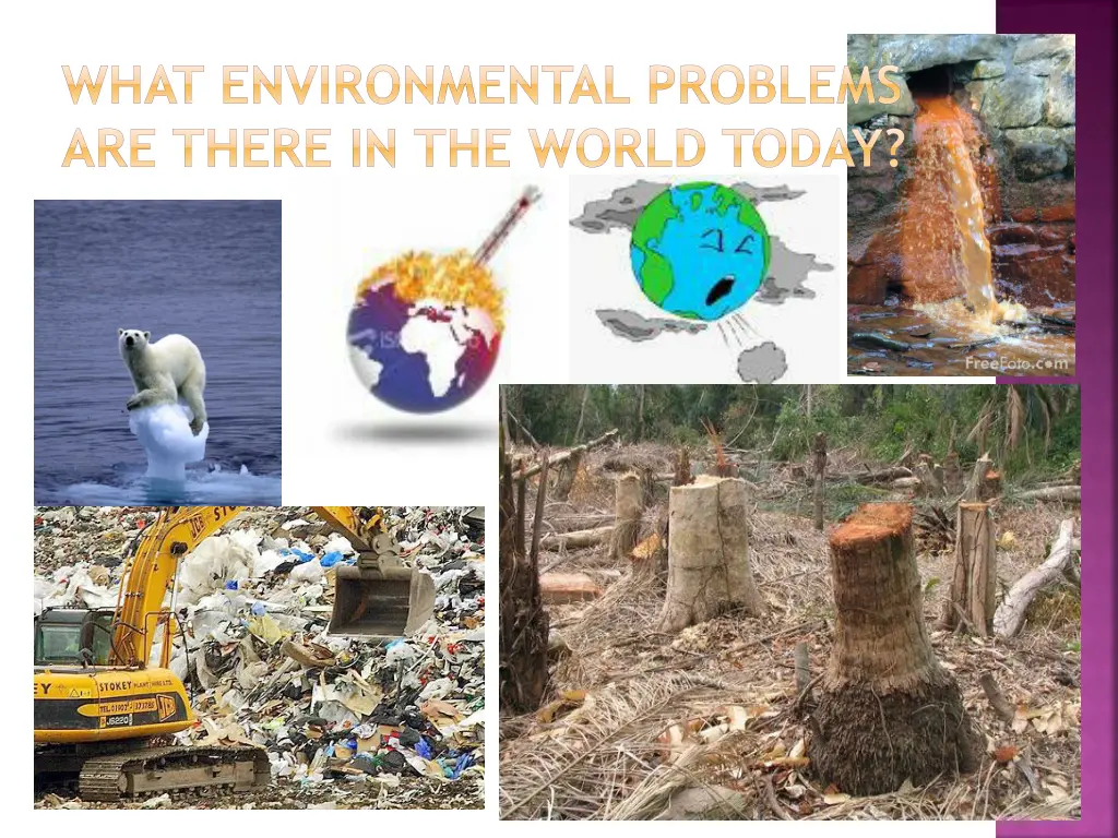 what environmental problems are there