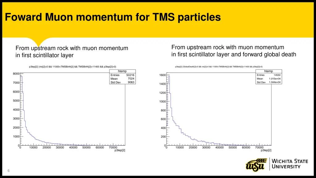 foward muon momentum for tms particles