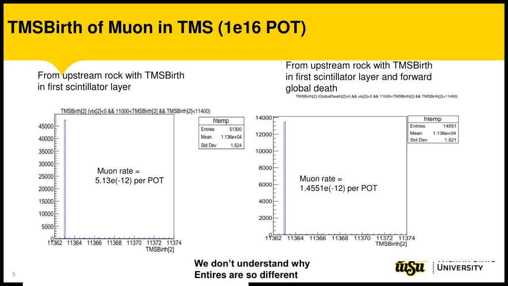 tmsbirth of muon in tms 1e16 pot