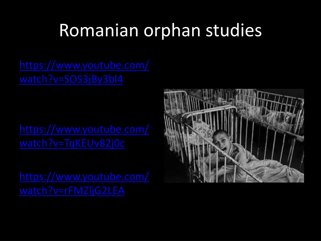 romanian orphan studies