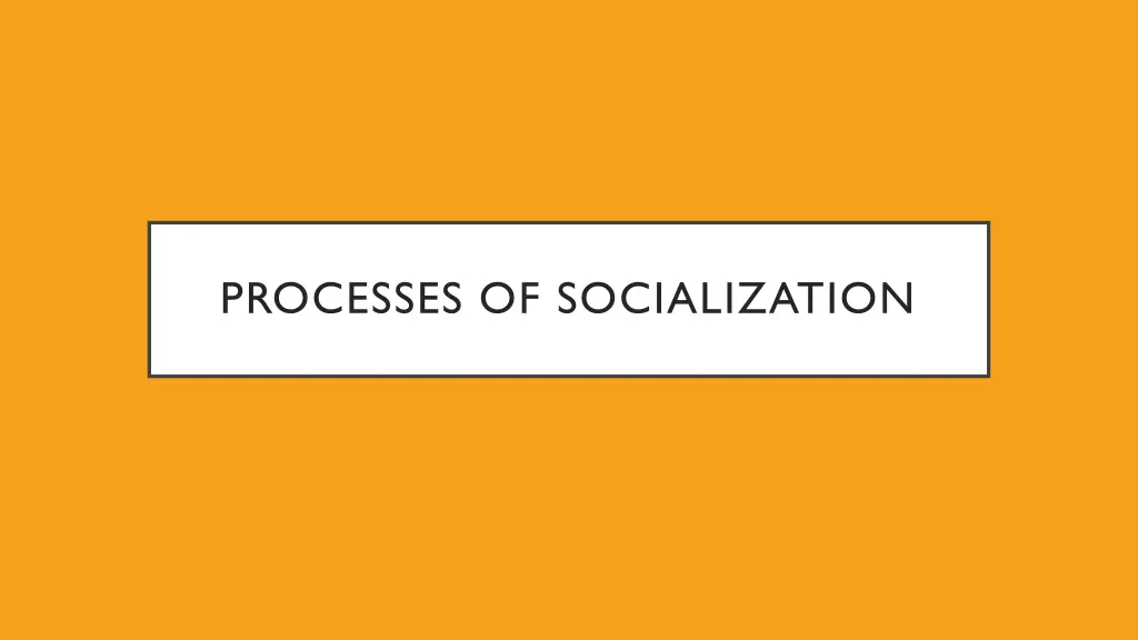 processes of socialization