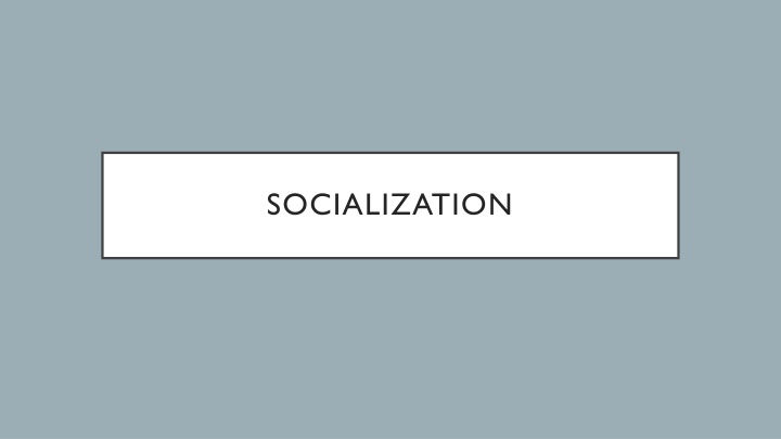 socialization