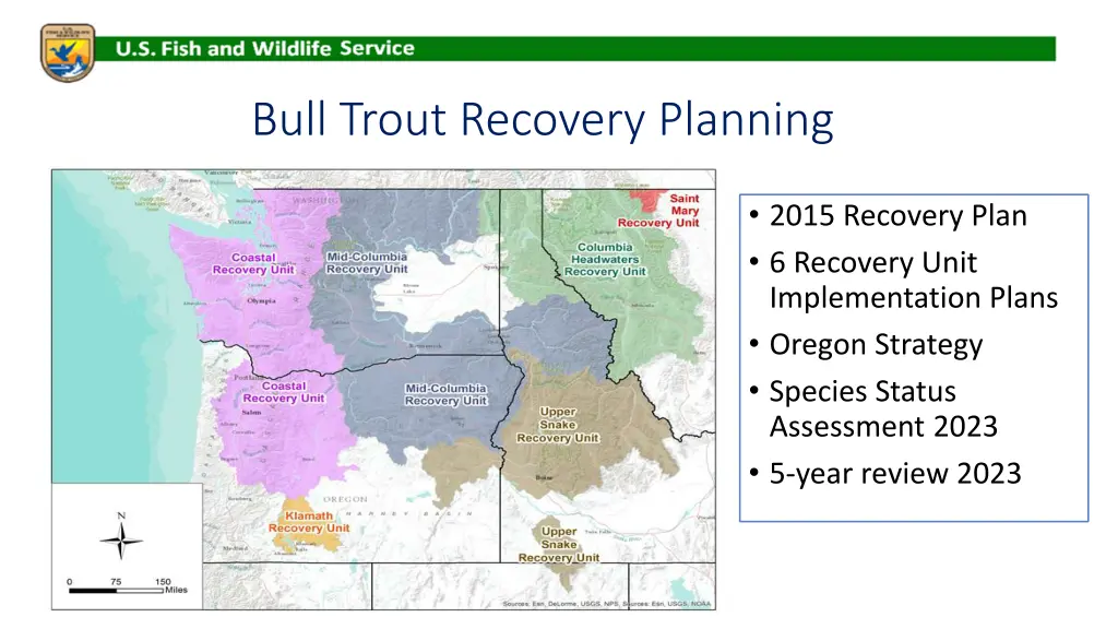 bull trout recovery planning