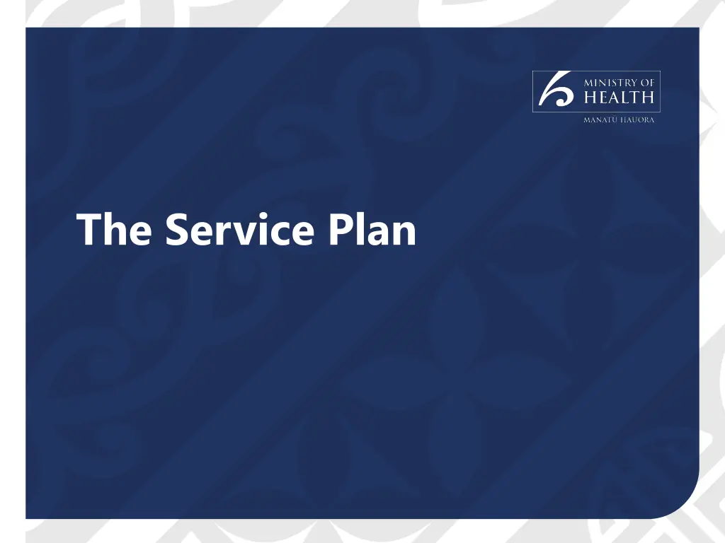 the service plan