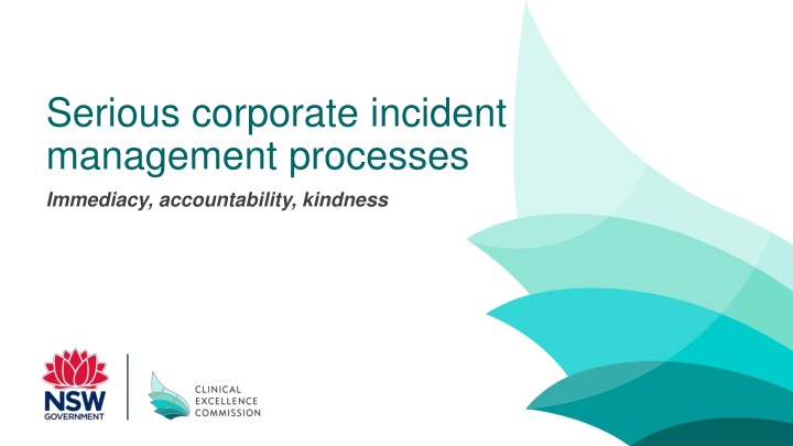 serious corporate incident management processes