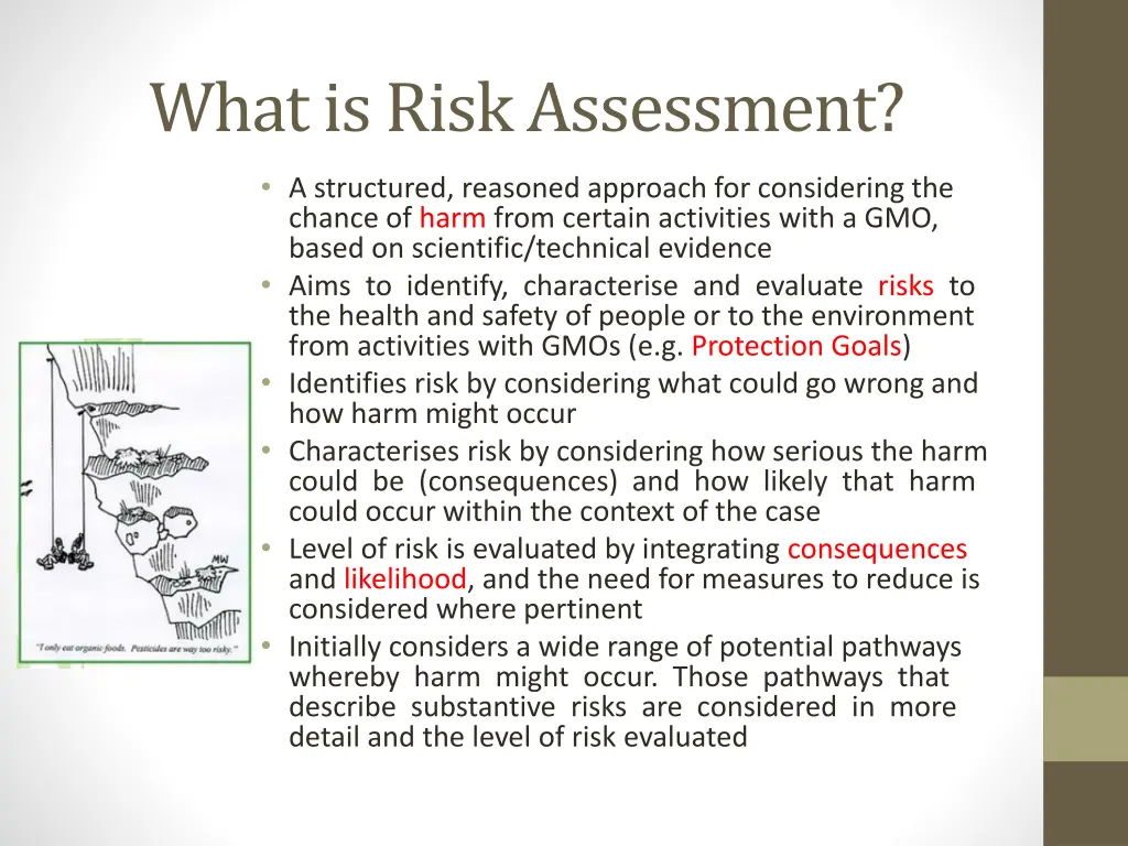 what is risk assessment