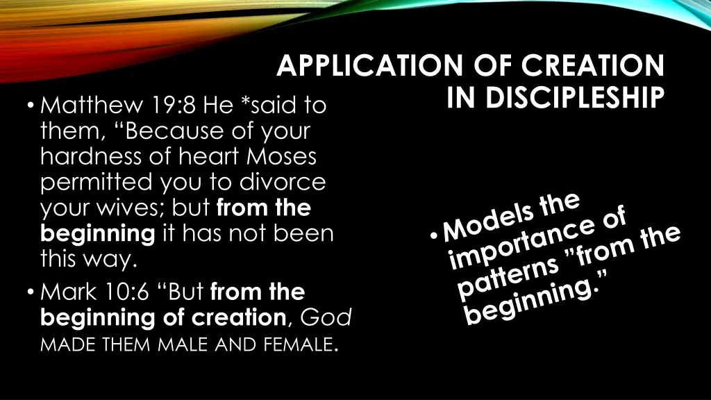 application of creation in discipleship 1