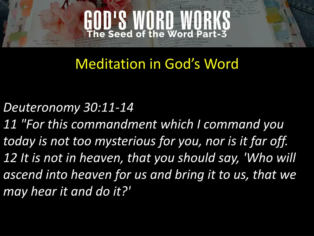 meditation in god s word 7