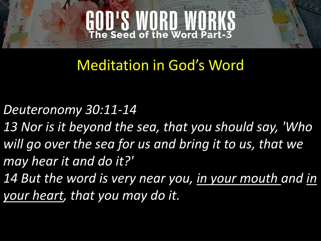 meditation in god s word 8