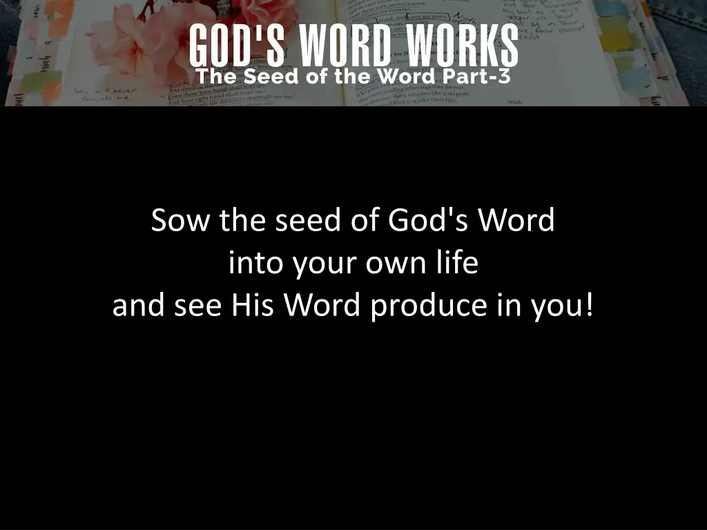 sow the seed of god s word into your own life