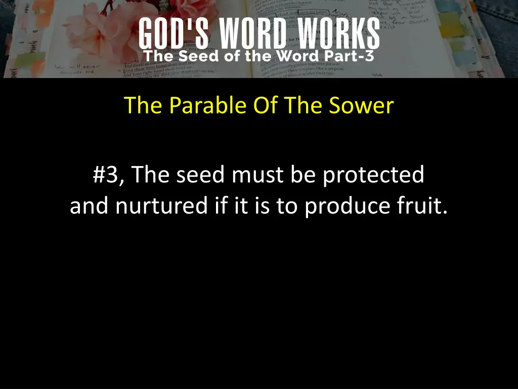 the parable of the sower 2