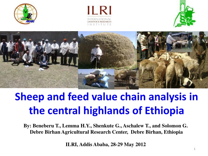 sheep and feed value chain analysis