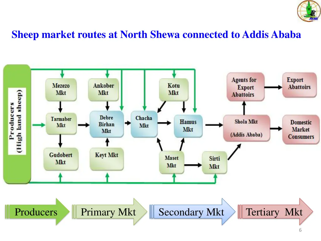 sheep market routes at north shewa connected