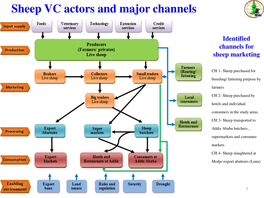 sheep vc actors and major channels