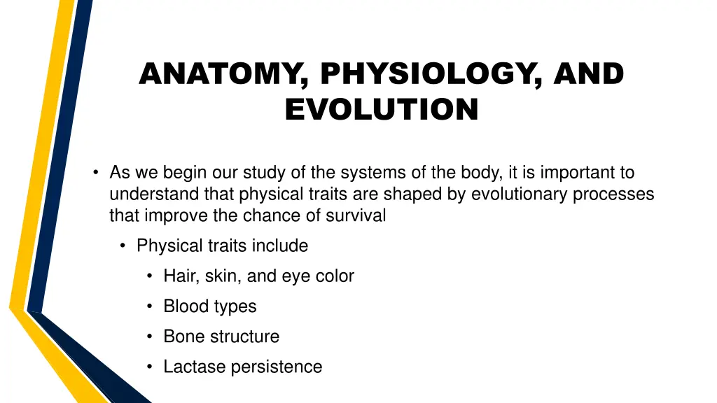 anatomy physiology and evolution