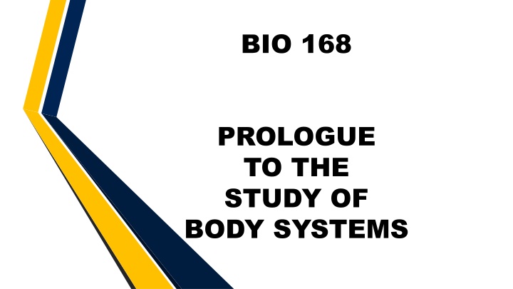 bio 168