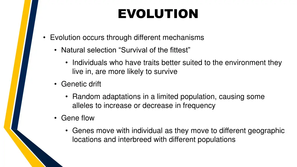 evolution 1