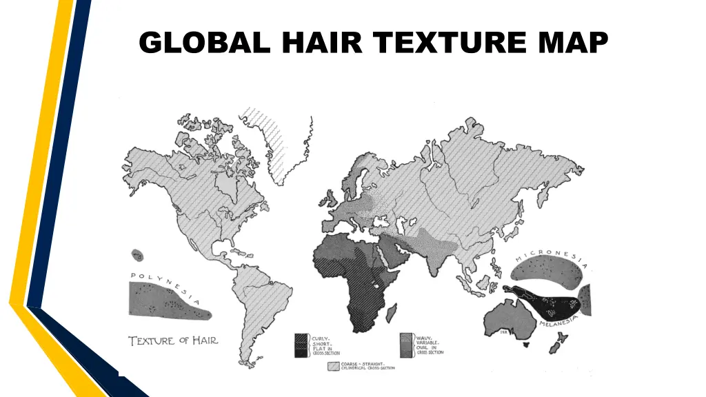 global hair texture map