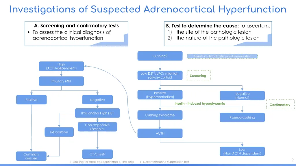 investigations of suspected adrenocortical