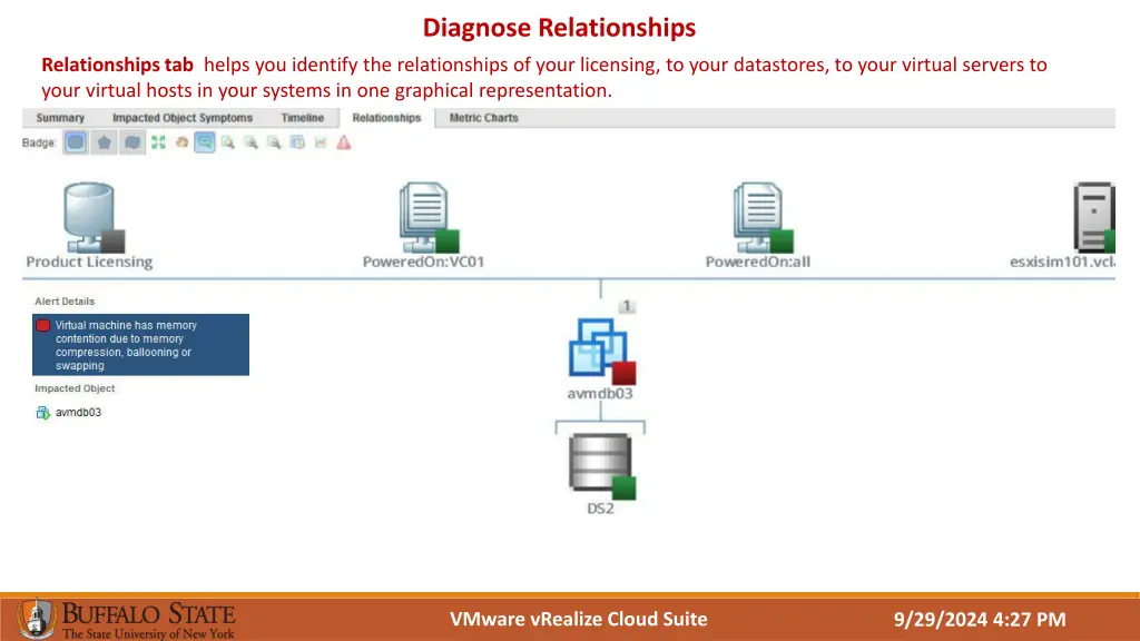 diagnose relationships