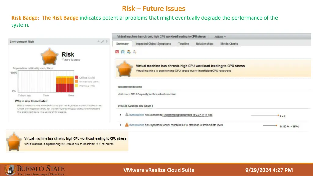 risk future issues