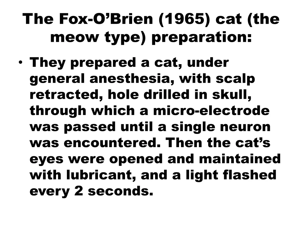 the fox o brien 1965 cat the meow type