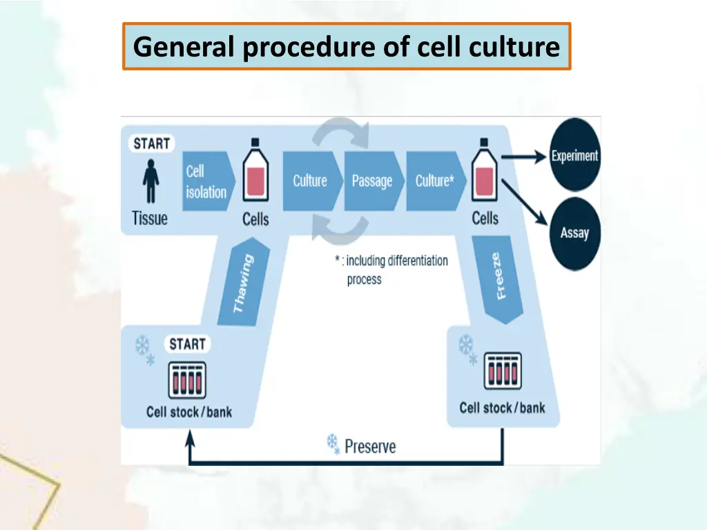 general procedure of cell culture