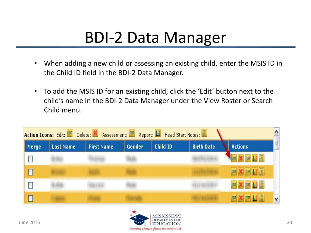 bdi 2 data manager 1