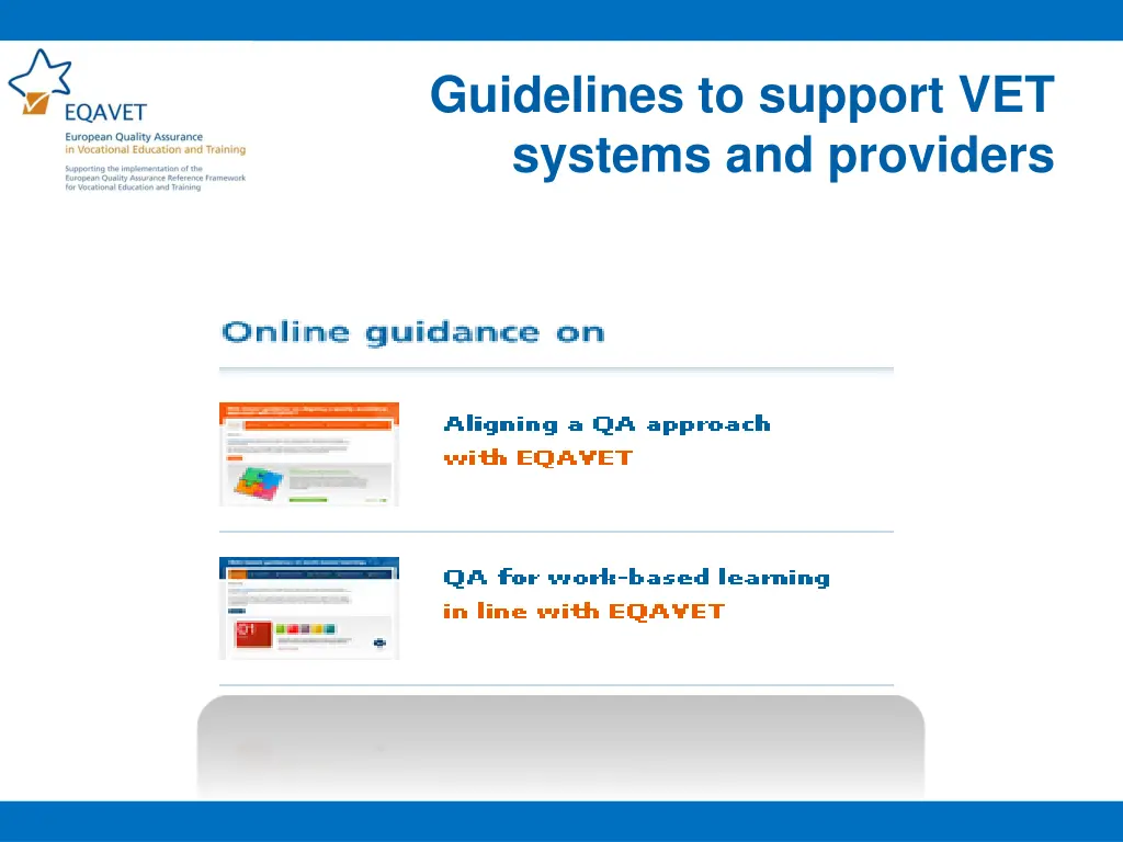 guidelines to support vet systems and providers 1