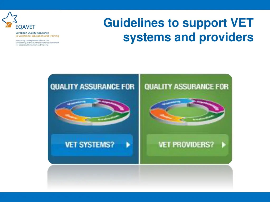 guidelines to support vet systems and providers