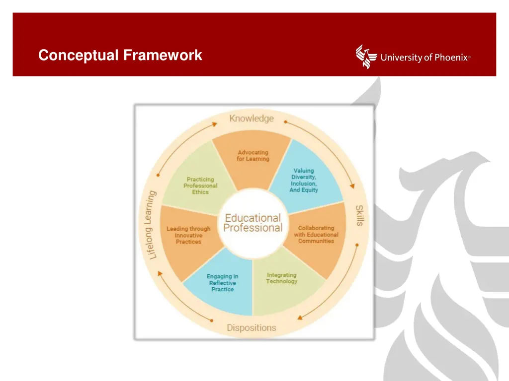 conceptual framework