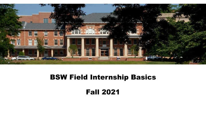 bsw field internship basics