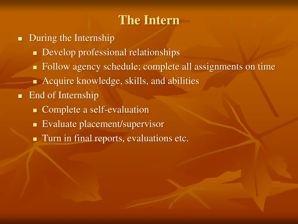 the intern 2