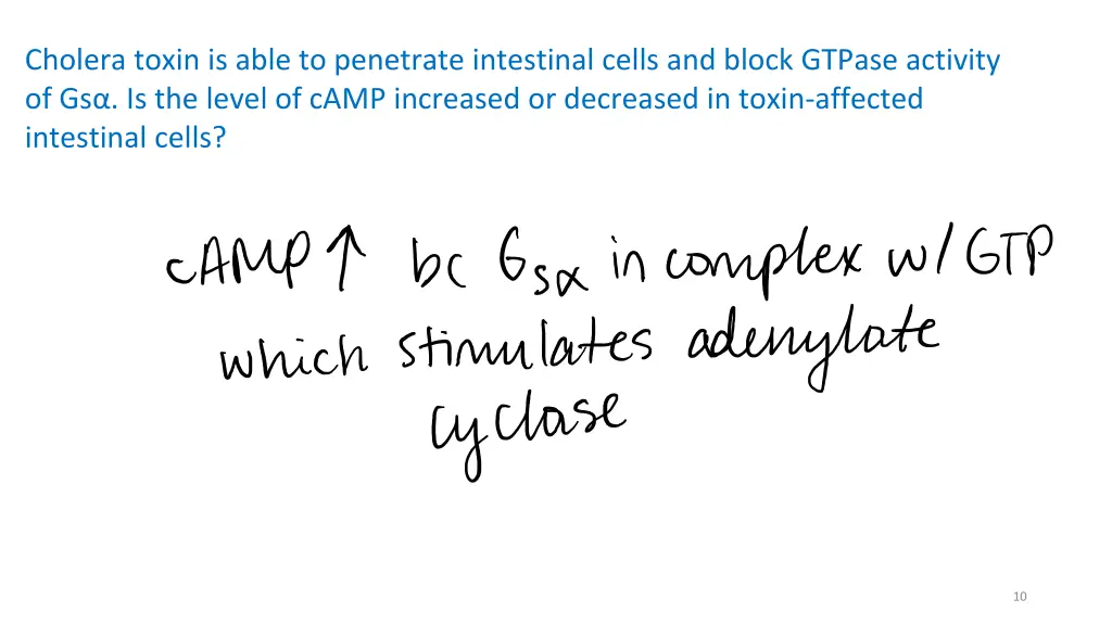cholera toxin is able to penetrate intestinal
