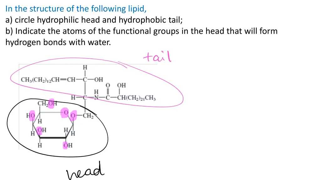 in the structure of the following lipid a circle