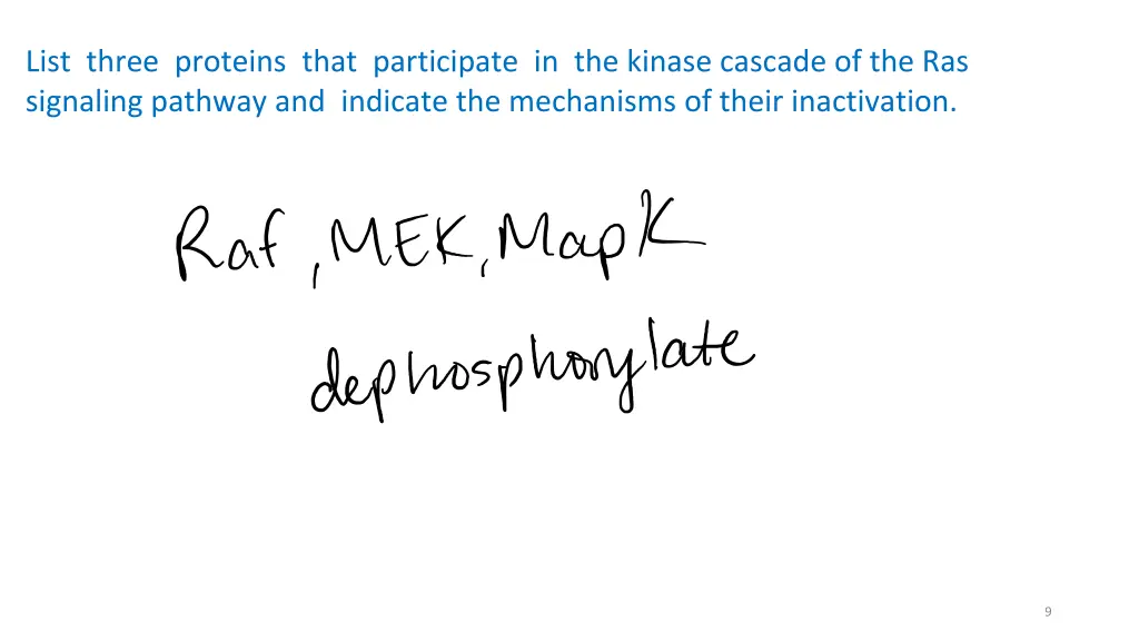 list three proteins that participate