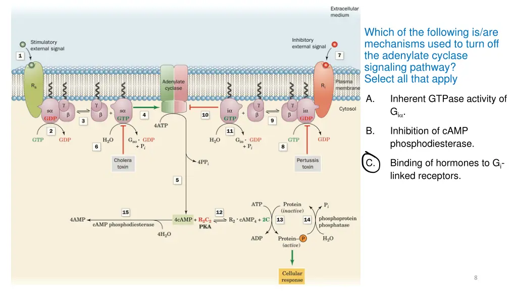 which of the following is are mechanisms used