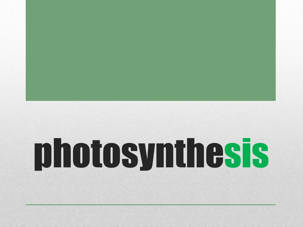 photosynthesis