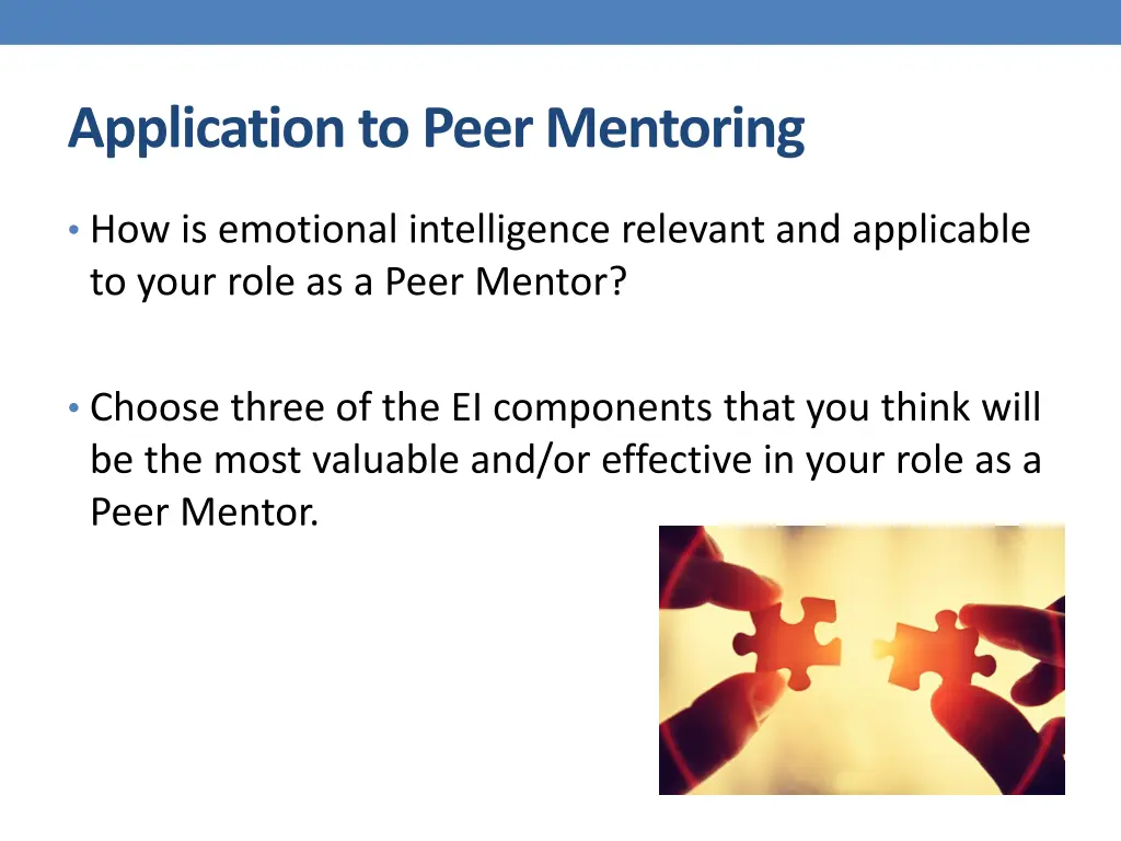 application to peer mentoring